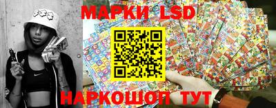 крисы Дубна