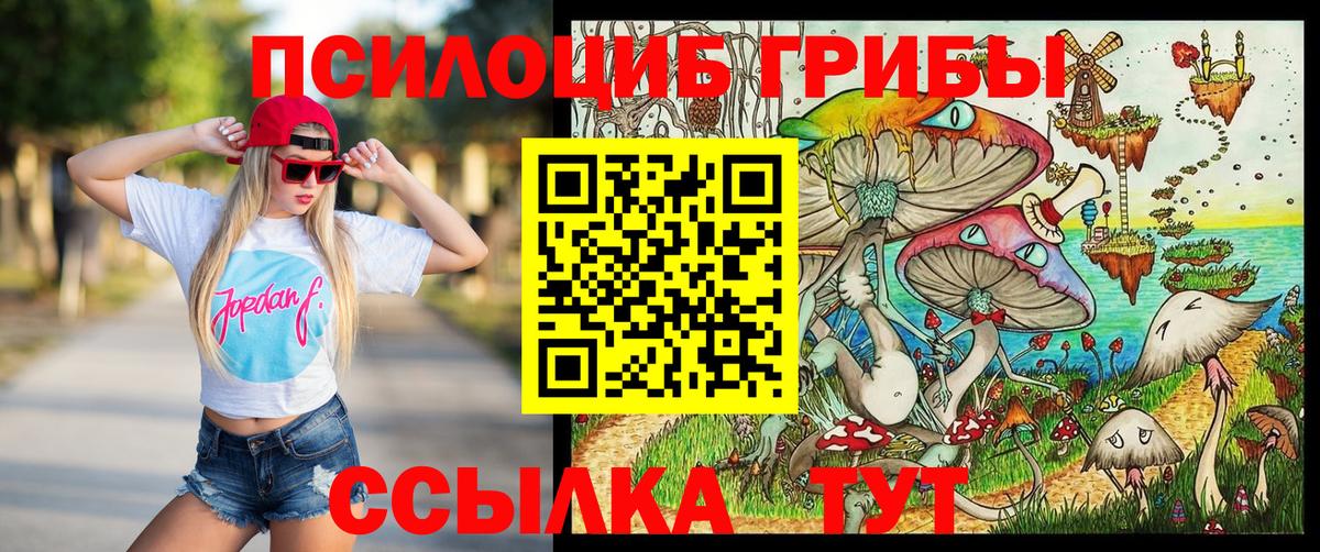 Галлюциногенные грибы GOLDEN TEACHER Кызыл