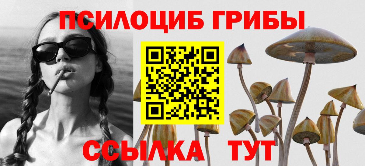 Кызыл  Псилоцибиновые грибы MAGIC MUSHROOMS  Псилоцибиновые грибы прущие грибы  Вход с VPN 